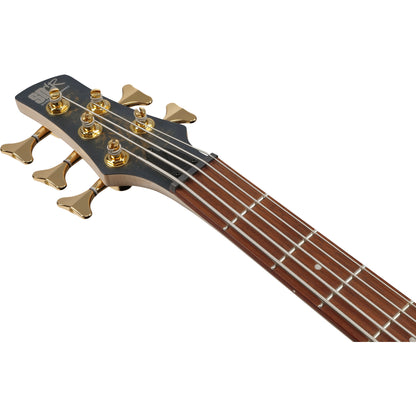 Ibanez SR305EDX SR Standard 5-String Electric Bass - Frozen Gold Matte