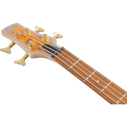 Ibanez SR Standard 4 String Electric Bass - Mars Gold Metallic Burst
