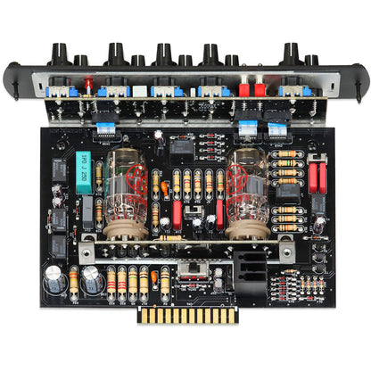Synergy Friedman BE-DLX 2-channel Preamp Module