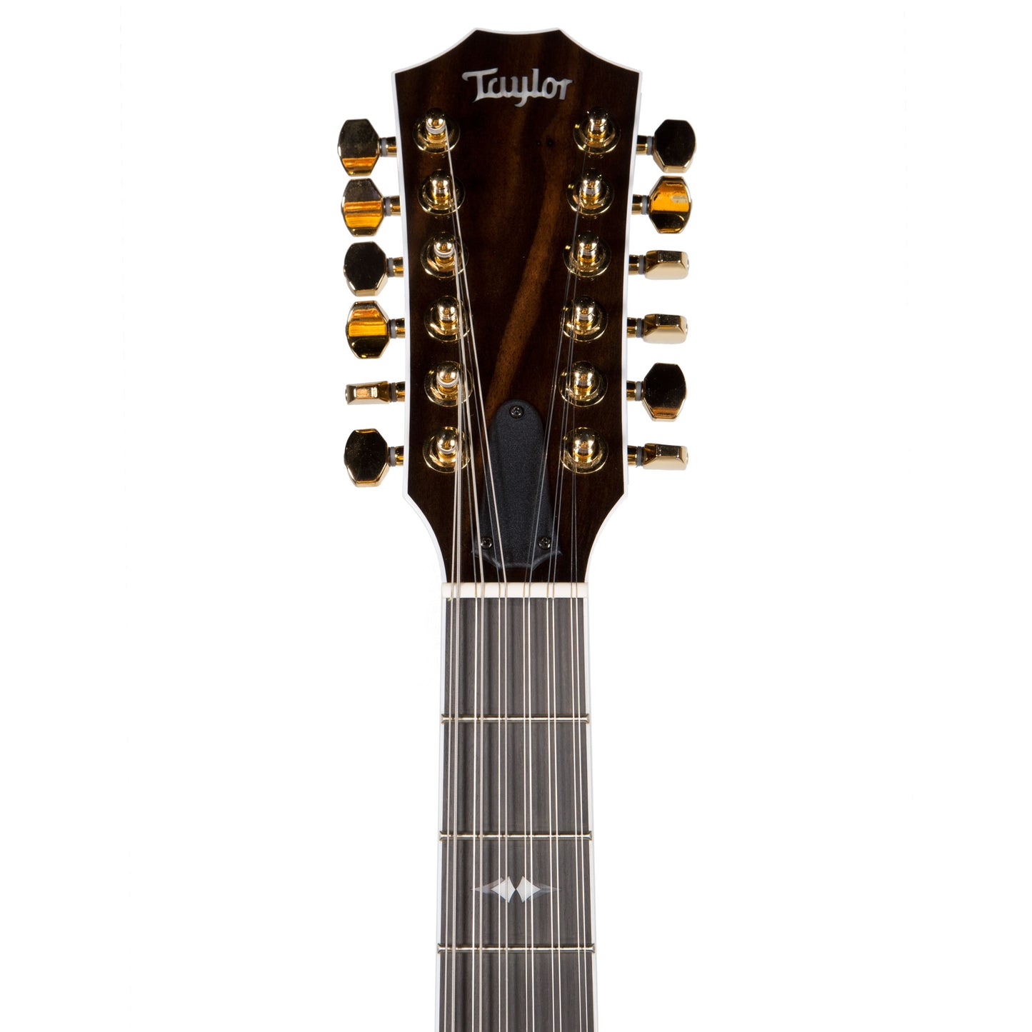 Taylor T5Z-12 Custom 12-String Thinline Acoustic Electric Guitar with Case (T5Z12CUSTOMDEMO1105299150)