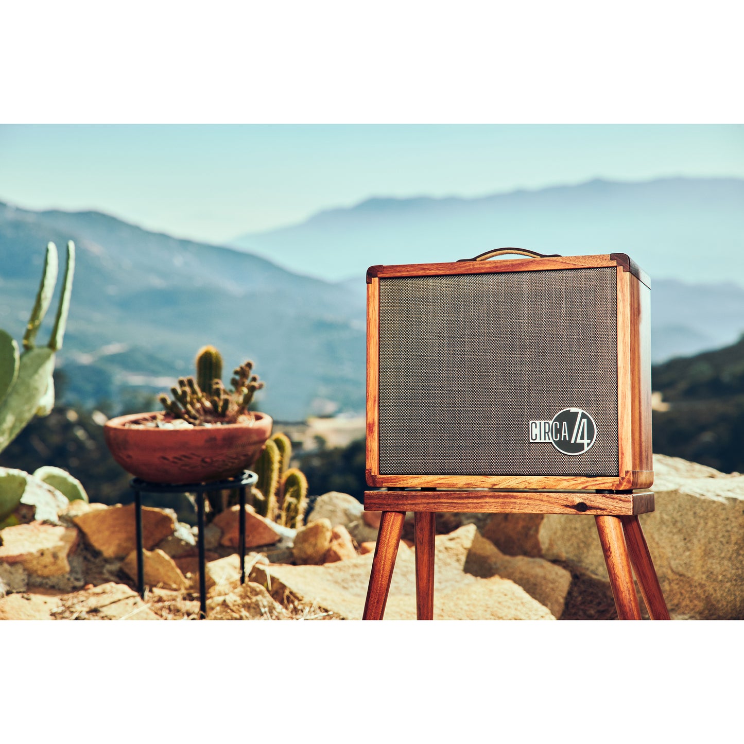 Taylor Circa 1974 Acoustic/Vocal Amp - Koa