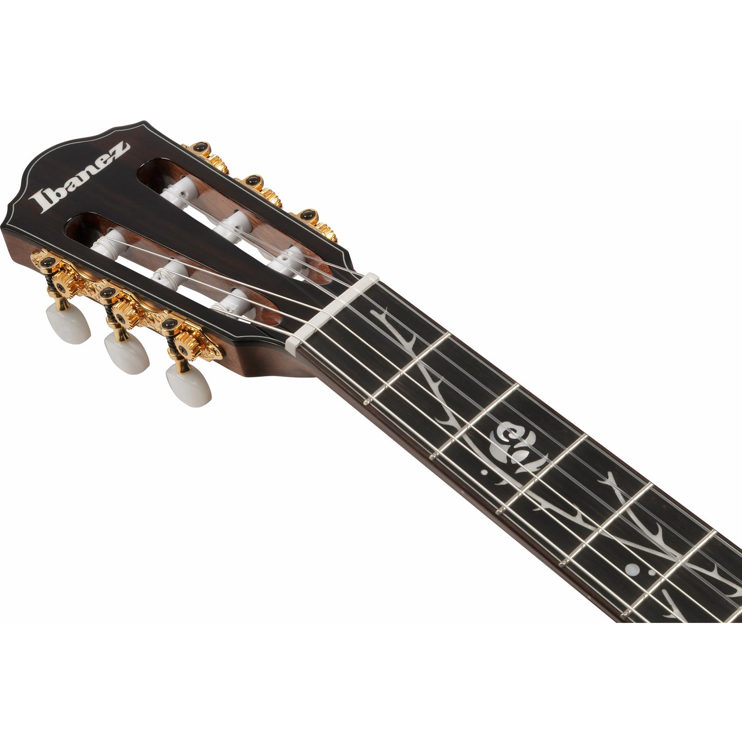 Ibanez TOD100N Tim Henson Acoustic Electric Guitar - Natural High Gloss