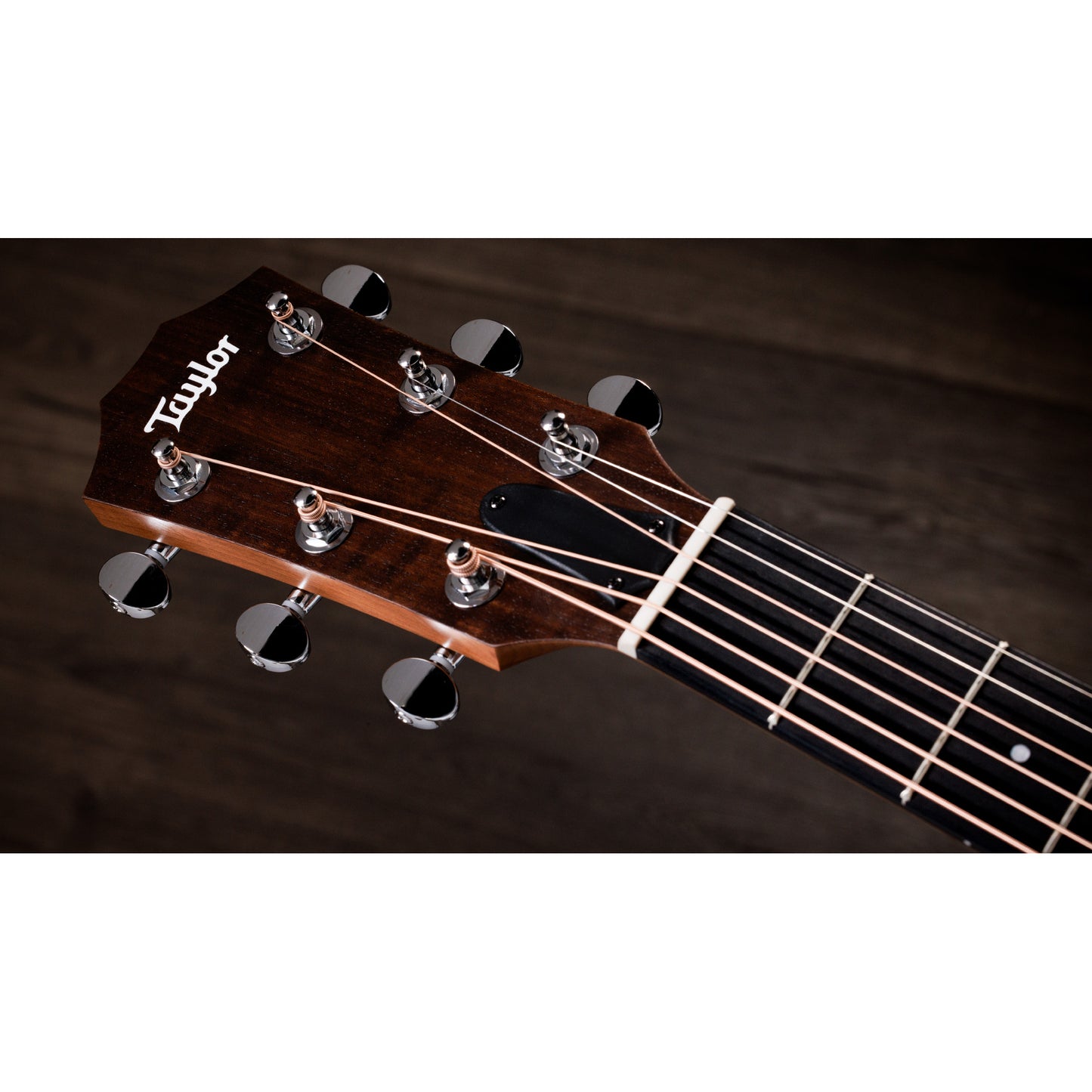 Taylor 24ce Acoustic Electric Guitar - Natural w/ Neo-Tropical Mahogany Top