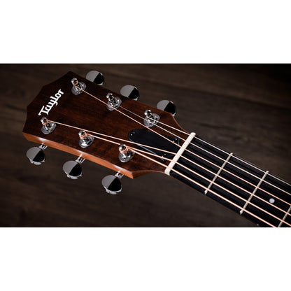 Taylor 24ce Acoustic Electric Guitar - Natural w/ Neo-Tropical Mahogany Top