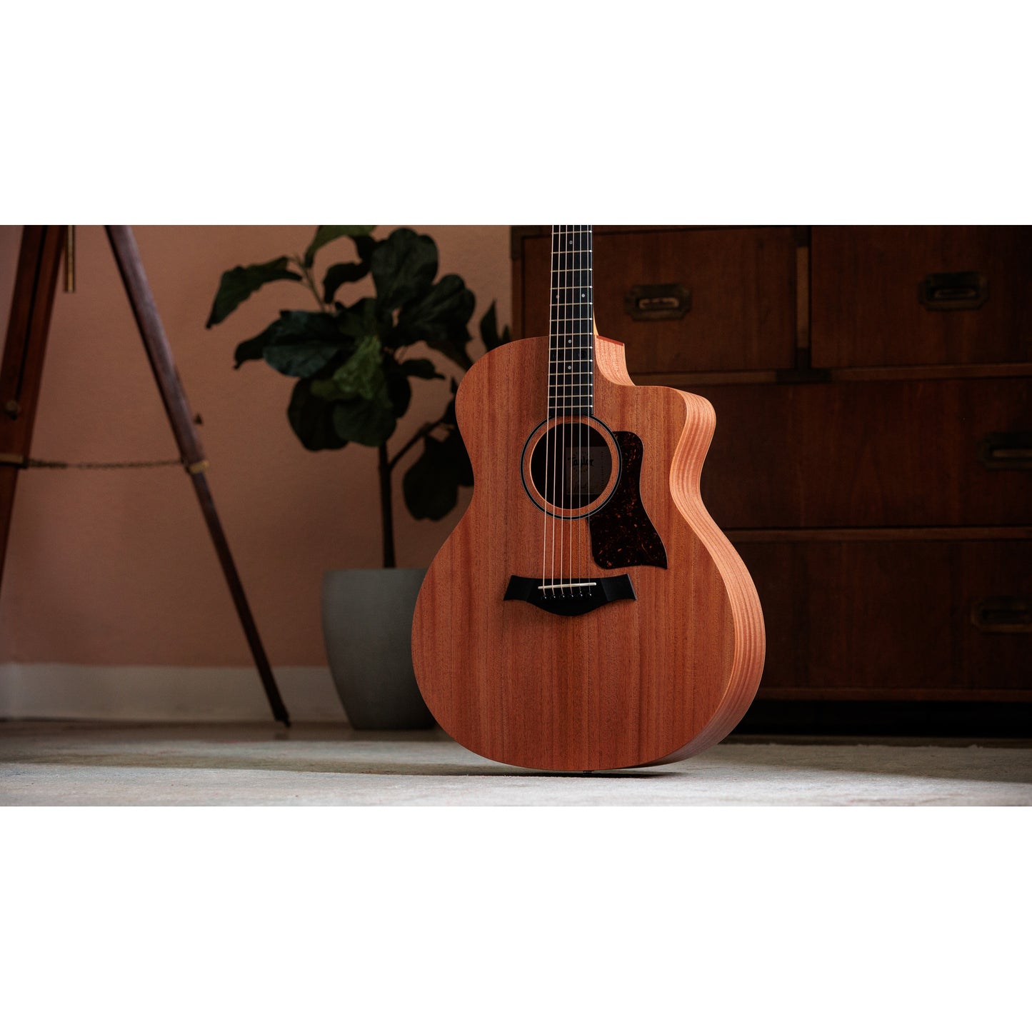 Taylor 24ce Acoustic Electric Guitar - Natural w/ Neo-Tropical Mahogany Top