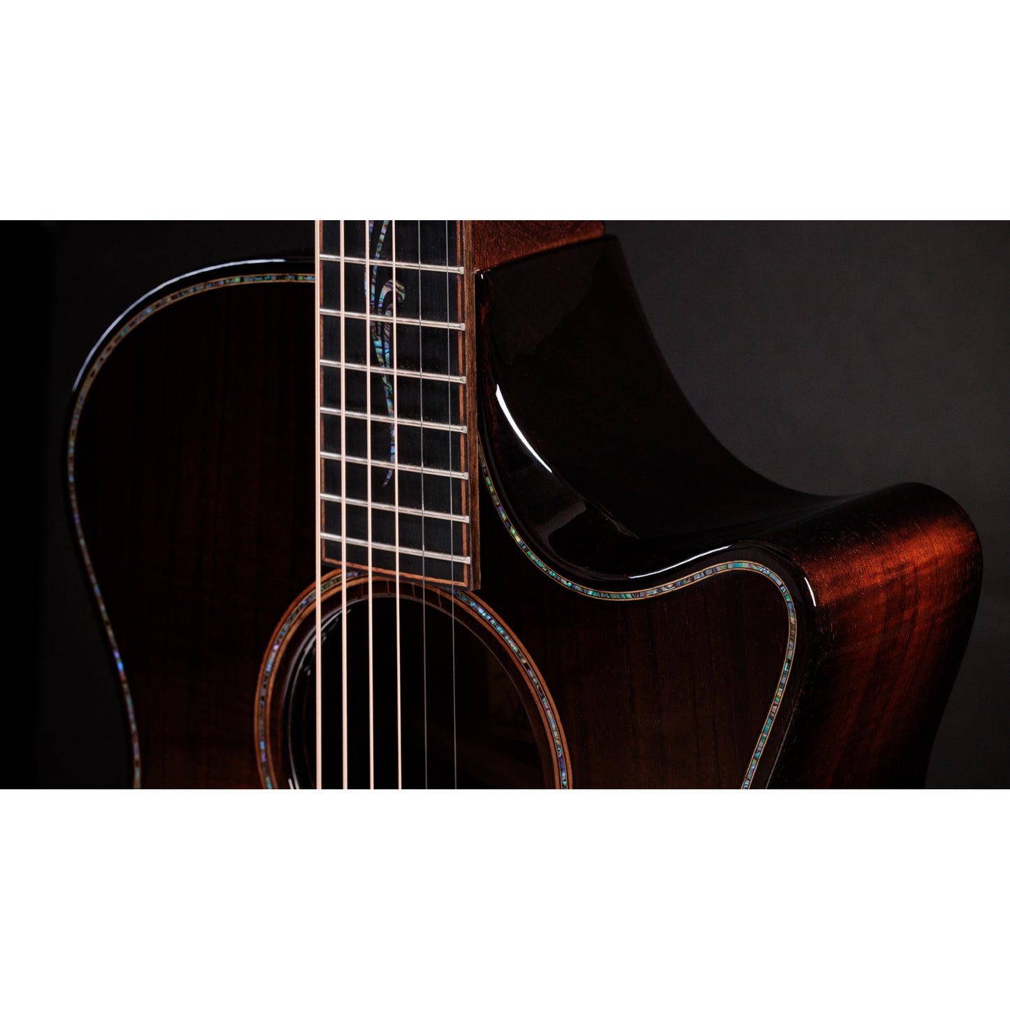 Taylor Next Generation Builders Edition K24ce Acoustic Electric Guitar - Kona Burst