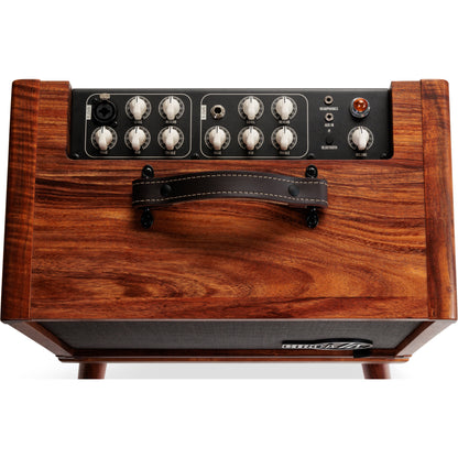 Taylor Circa 1974 Acoustic/Vocal Amp - Koa