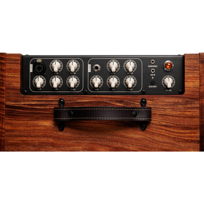 Taylor Circa 1974 Acoustic/Vocal Amp - Koa