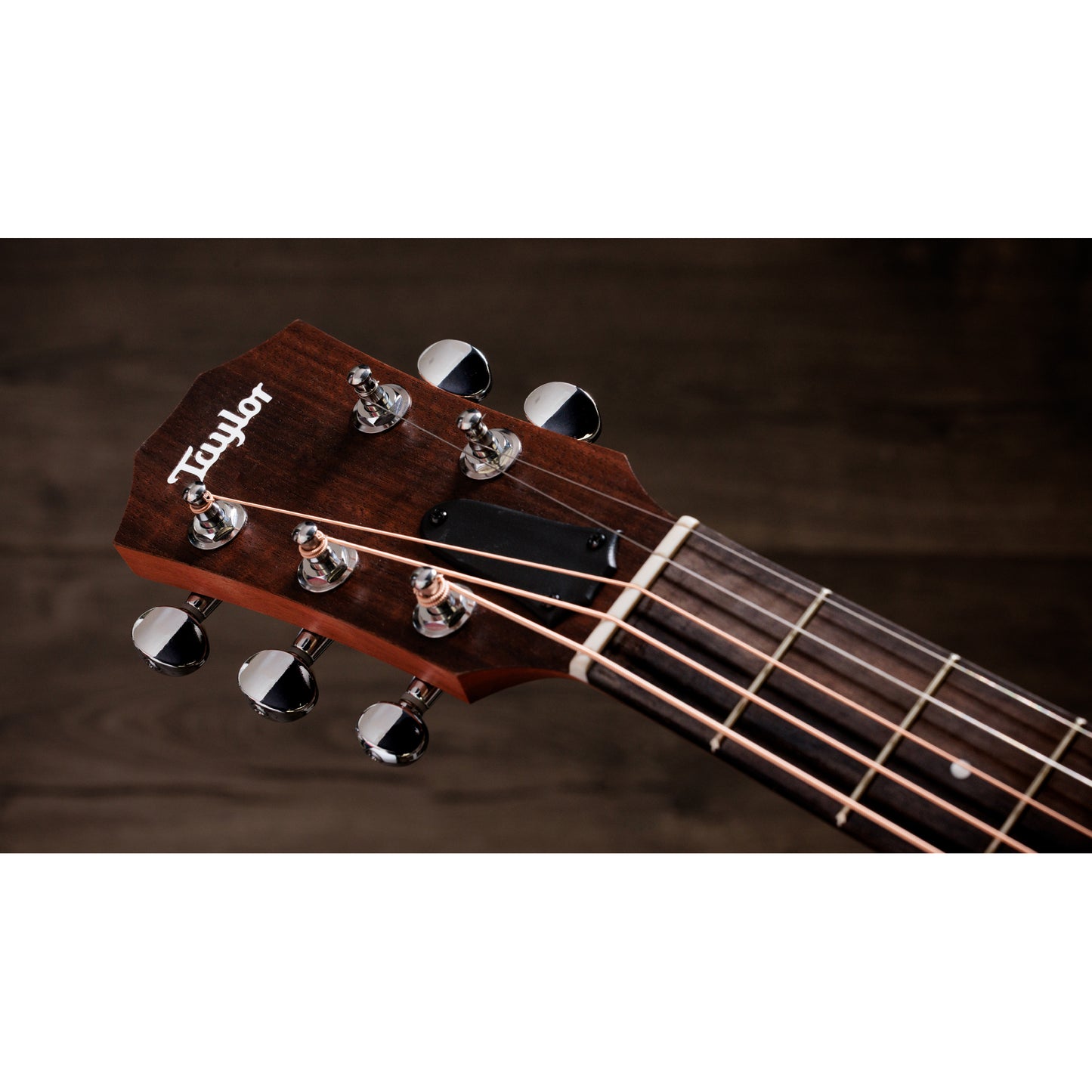 Taylor Jacob Collier GS Mini 5-String Acoustic Guitar - Custom Art