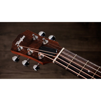 Taylor Jacob Collier GS Mini 5-String Acoustic Guitar - Custom Art