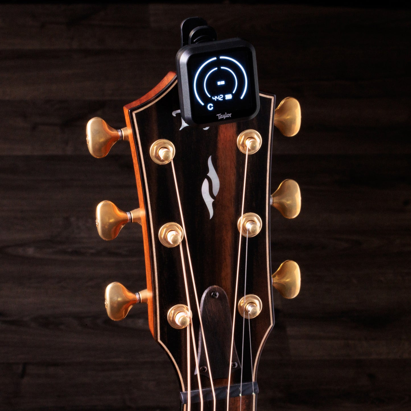 Taylor Clip On Rechargeable Digital Tuner