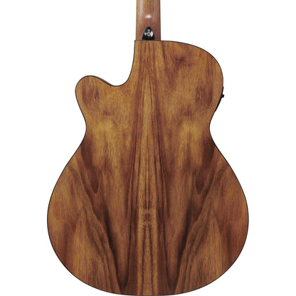 Ibanez V40WSCE V Series Acoustic Electric Guitar - Open Pore Brown