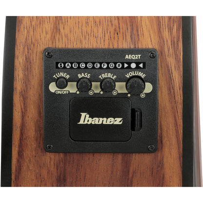 Ibanez V40WSCE V Series Acoustic Electric Guitar - Open Pore Brown