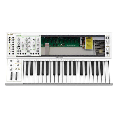Waldorf kb37 Eurorack Controller Keyboard