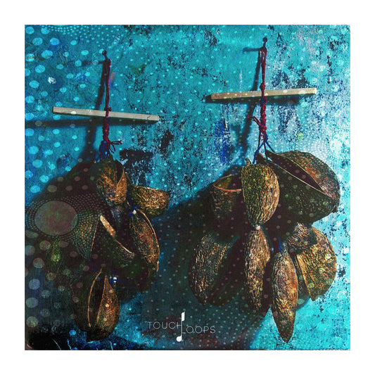 Touch Loops World Shakers Sample Packs