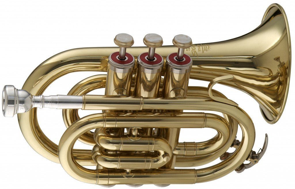 Stagg Bb Pocket Trumpet in Lacquer