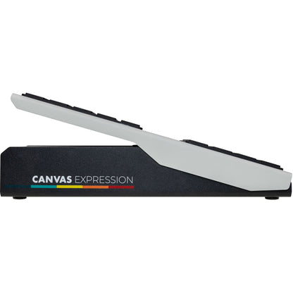 Walrus Audio Canvas Expression Pedal