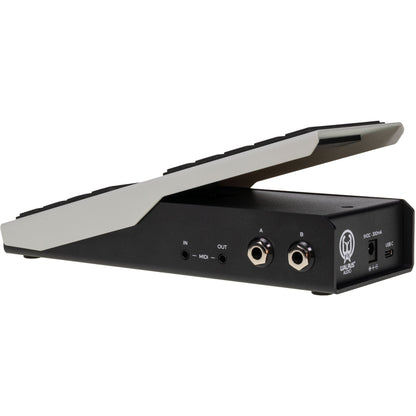 Walrus Audio Canvas Expression Pedal