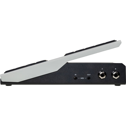 Walrus Audio Canvas Expression Pedal