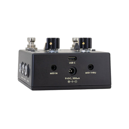 Walrus Audio Xero Polylooper - Black