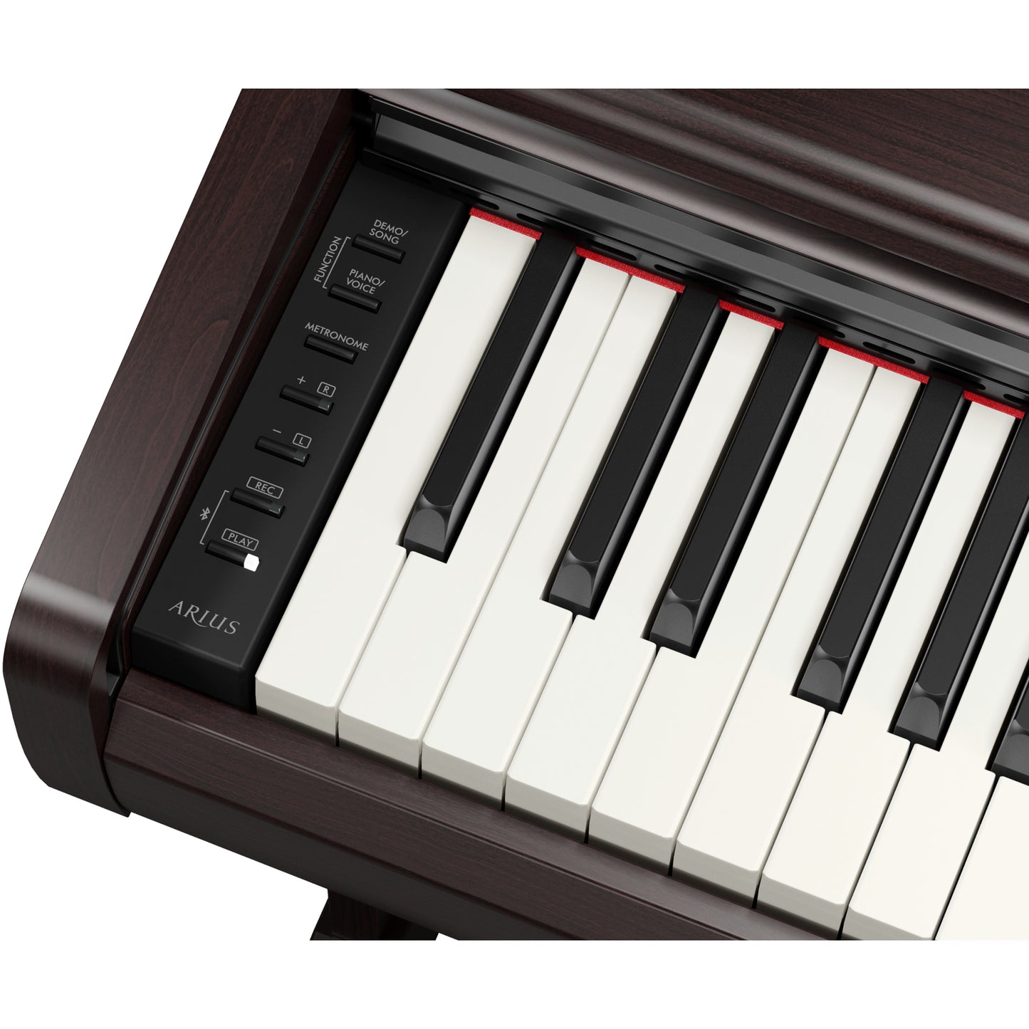Yamaha YDP-146 Arius Upright Digital Piano - Rosewood