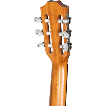 Taylor 214ce-N Nylon String Grand Auditorium Acoustic Electric Guitar - Natural