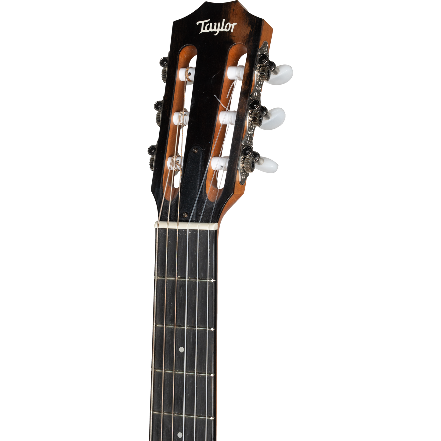 Taylor 214ce-N Nylon String Grand Auditorium Acoustic Electric Guitar - Natural