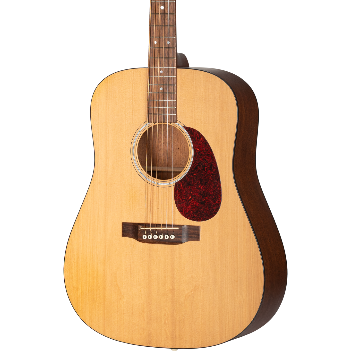 Martin 2006 Factory Custom DM-Mahogany Acoustic Guitar