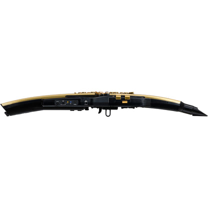 Roland AE-30A Aerophone Pro AE-30A - 10th Anniversary Limited Edition Gold Model
