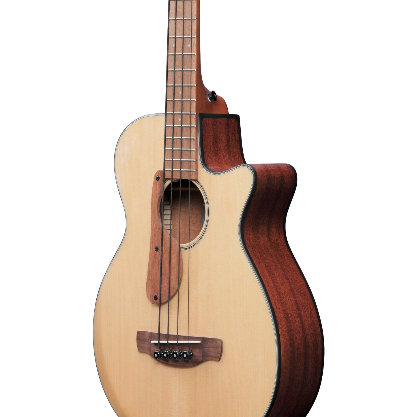 Ibanez AEGB30ENTG Acoustic Electric Bass Guitar in Natural