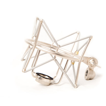 Avantone BV-1 Multi-Pattern Tube Microphone