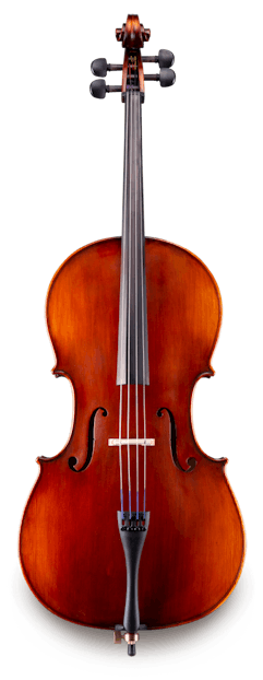 Samuel Eastman VC95 - 3/4 Cello Outfit