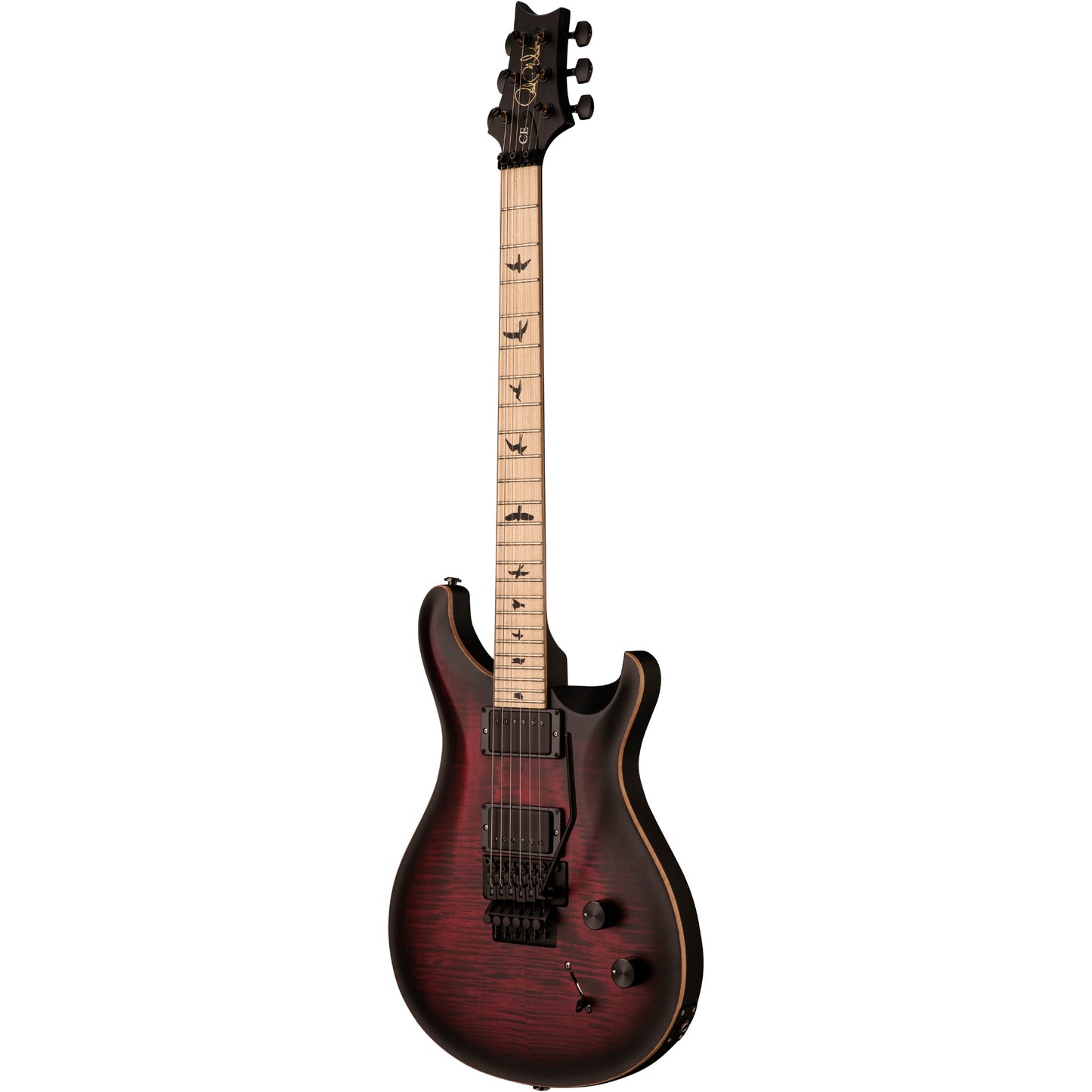 PRS DW CE 24 “Floyd” Bolt-On Electric Guitar - Waring Burst