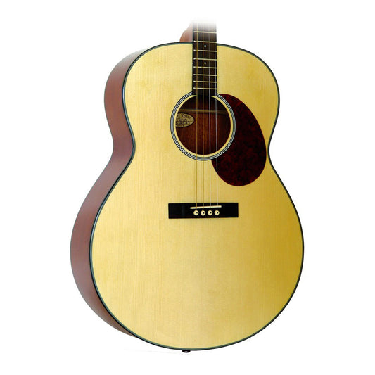 Gold Tone TG10 Tenor Guitar in Natural