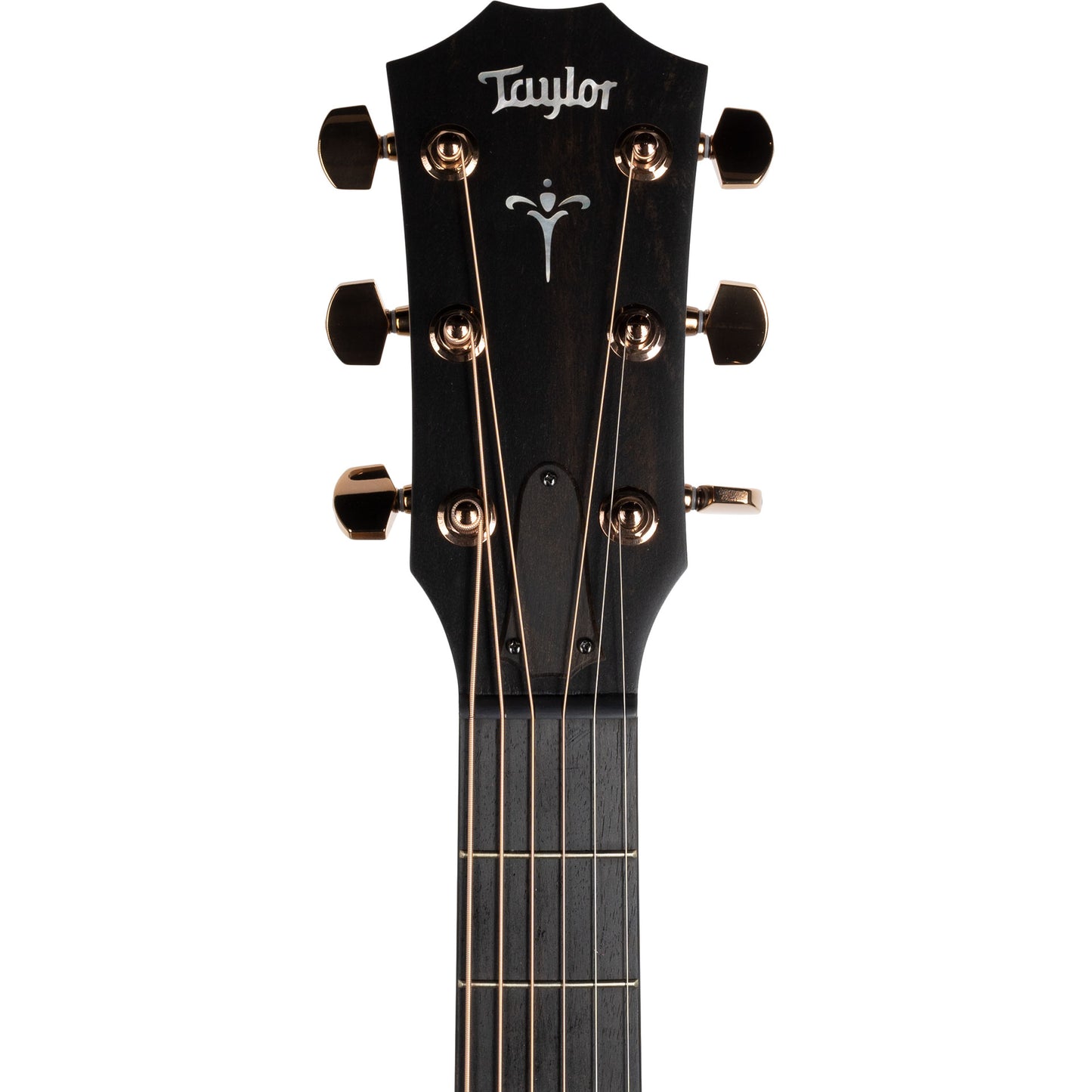 Taylor 722CE Grand Concert Acoustic Electric Guitar