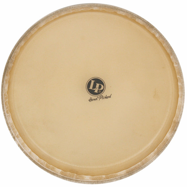 Latin Percussion LP265C 12.5” Replacement Tumba Head