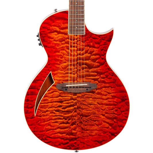 ESP LTD TL-6 Thinline Series Acoustic Electric Guitar, Tiger Eye Burst