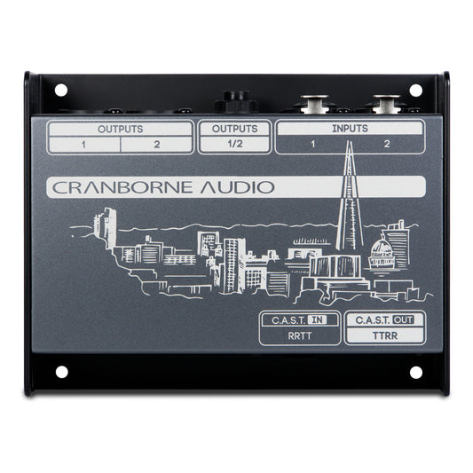 Cranborne Audio N22 Cat5 Snake And C.A.S.T. Breakout Box