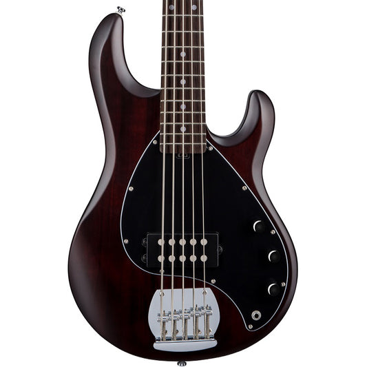 Sterling by Music Man StingRay Ray5 5-String Bass Guitar - Walnut Stain