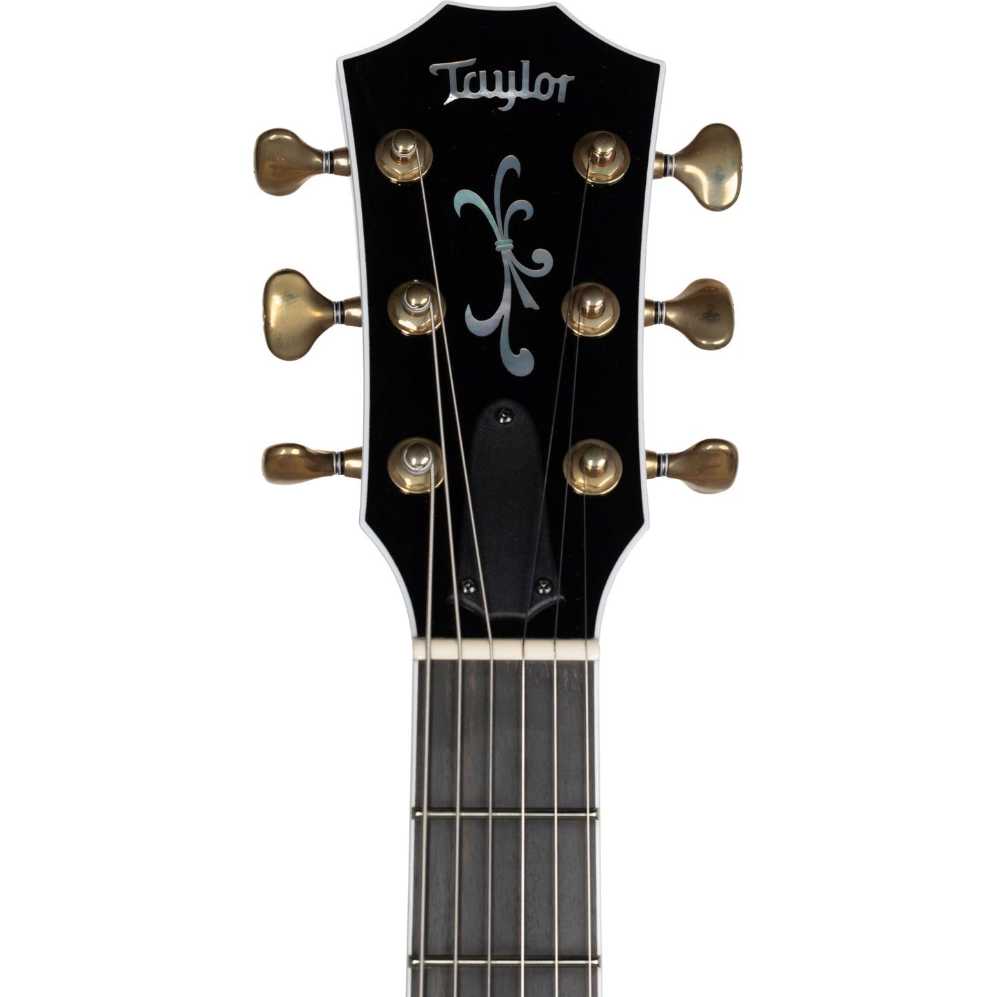 Taylor T5z Custom Cocobolo LTD Acoustic Electric Guitar in Shaded Edgeburst