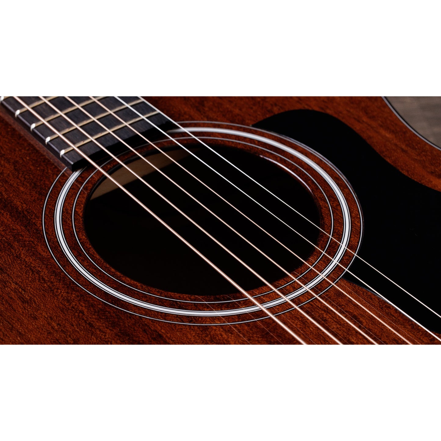 Taylor 224ce Plus Special Edition Acoustic Electric Guitar - Mahogany Top