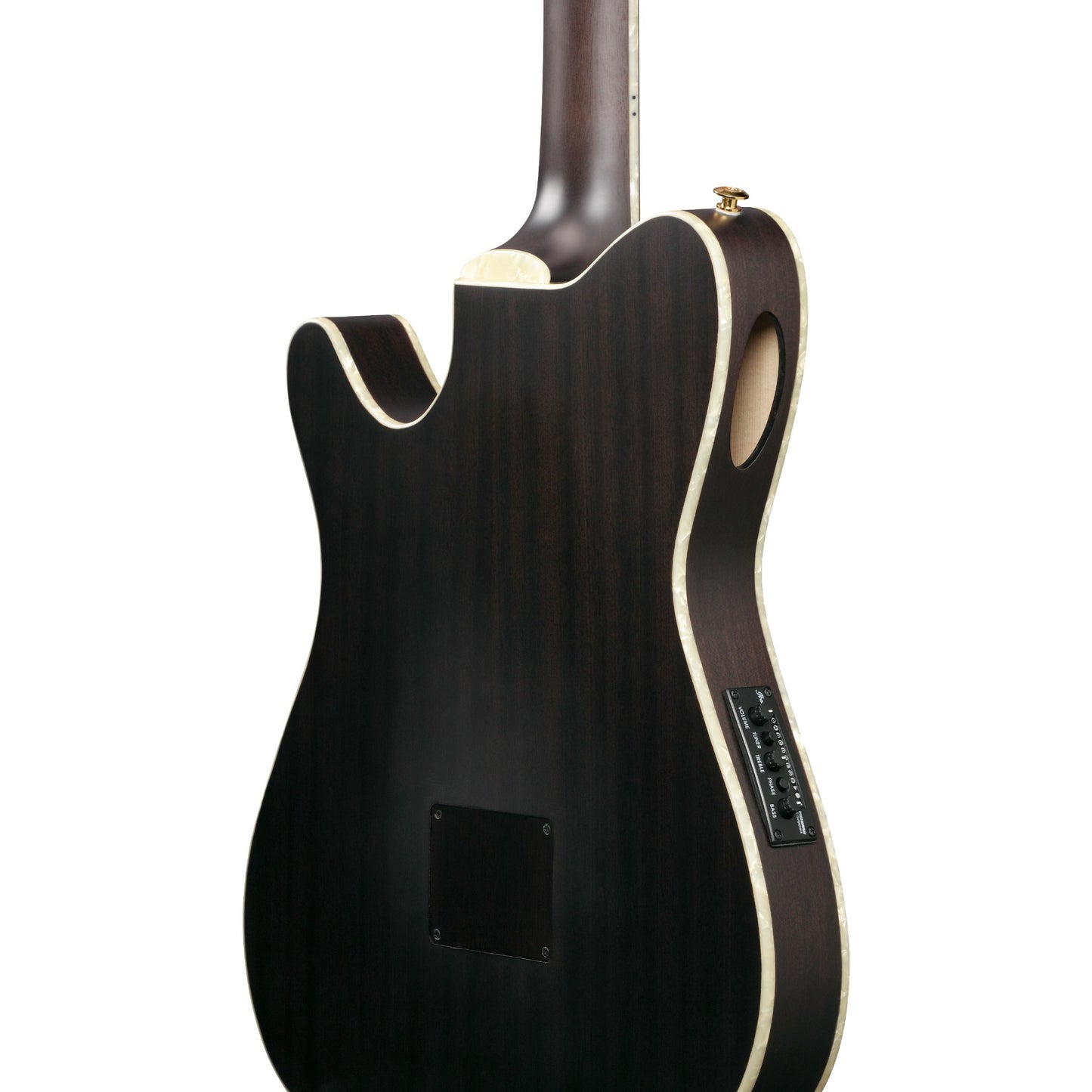 Ibanez TOD10N Tim Henson Signature Nylon Guitar in Transparent Black Flat
