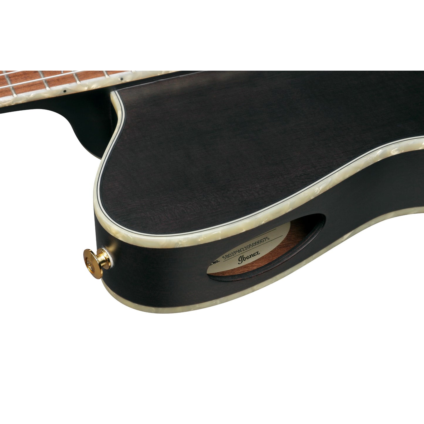 Ibanez TOD10N Tim Henson Signature Nylon Guitar in Transparent Black Flat